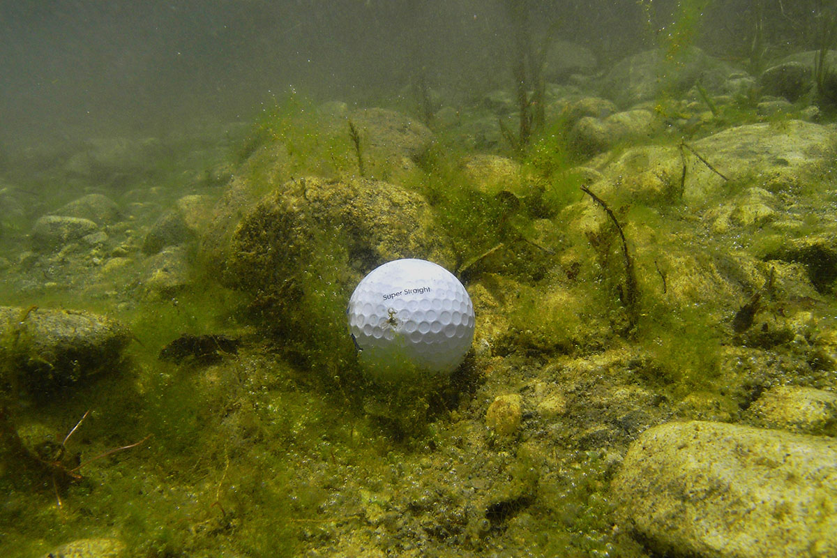 For bad (or frivolous) Michigan golfers: biodegradable golf balls - Bridge Michigan