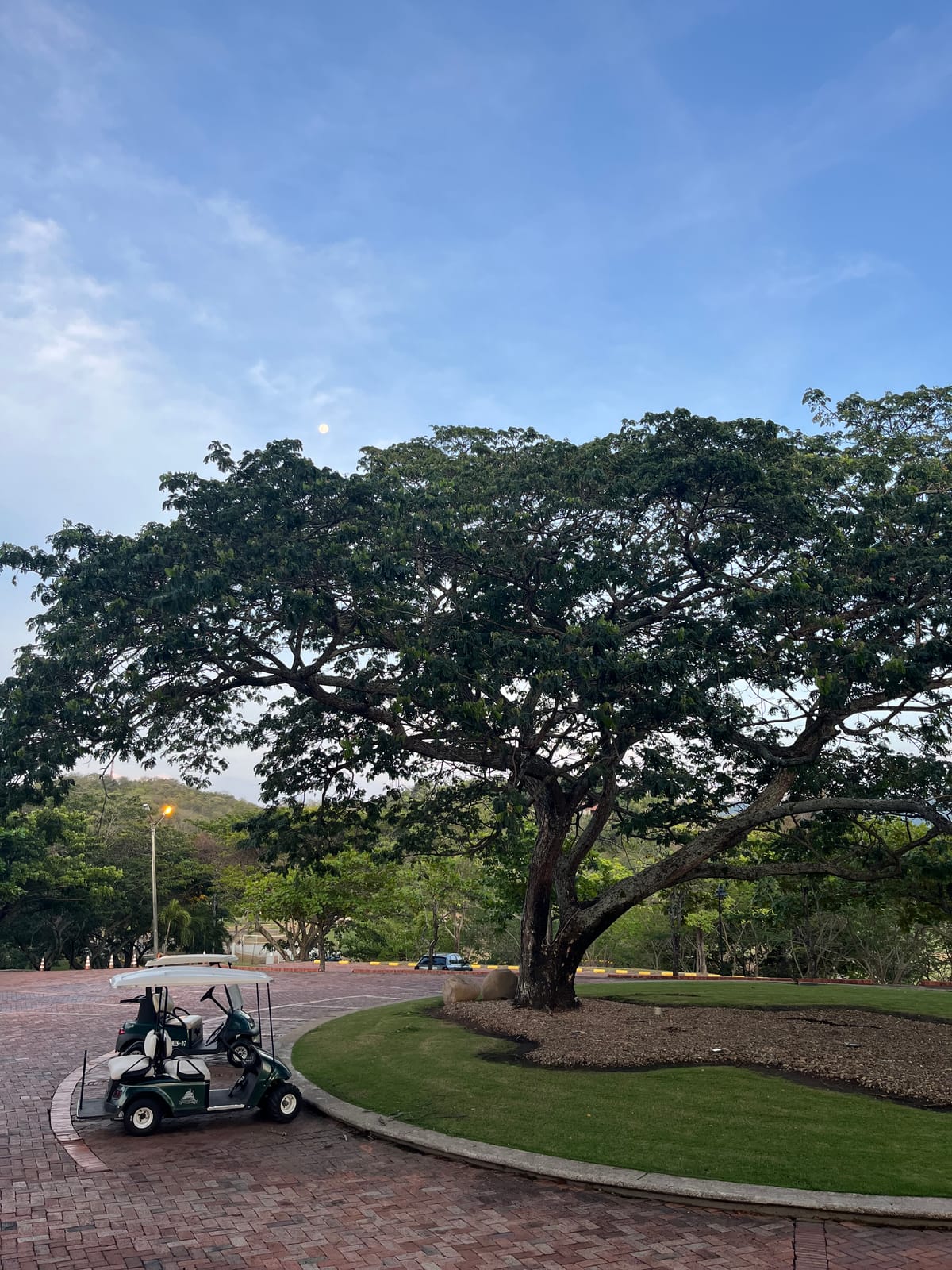 #157 Adiós Peñalisa